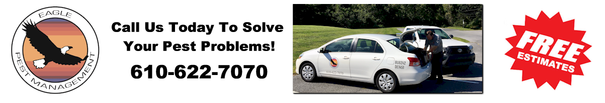 Pest Control Service