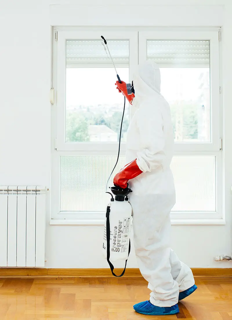 Person dressed in white safety garment, spraying for bugs - Eagle Pest Management, Pest Control located in Pennsylvania